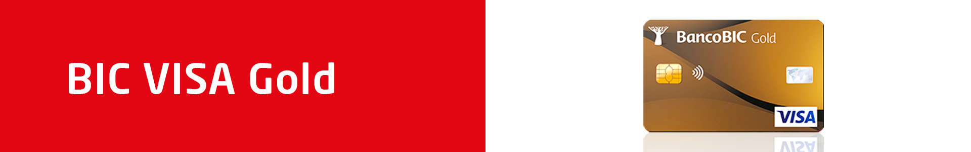 BIC VISA Gold_1920x302.png